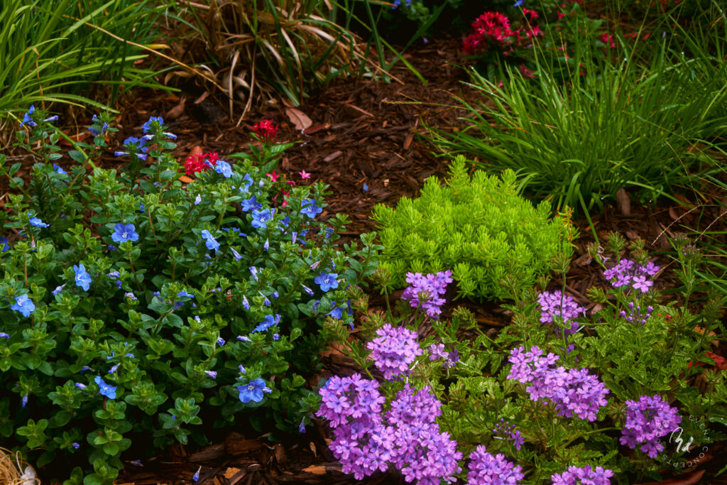 landscape design services northeast florida - A beautifully designed landscape featuring lush greenery and vibrant flowers, s